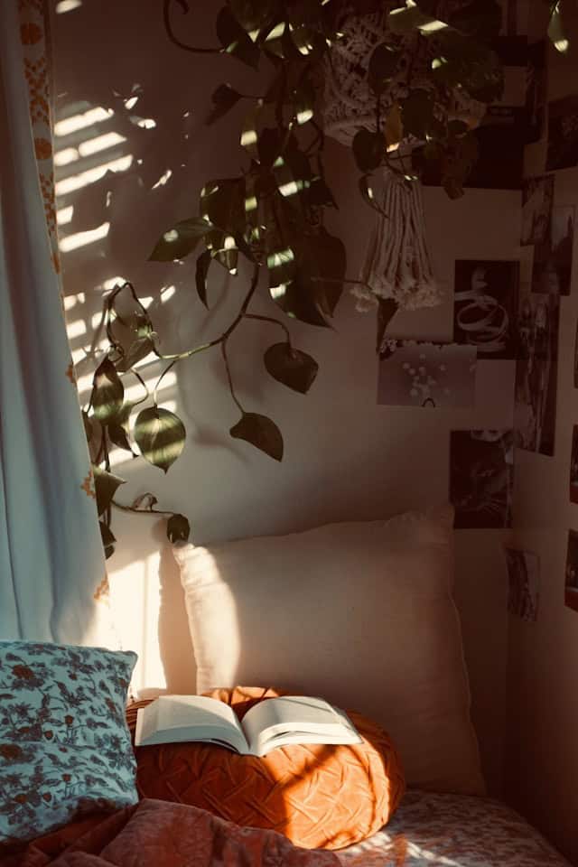 A cozy corner with a green plant, a soft folded blanket, and a ceramic mug in warm ambient light