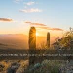 Warm sunlight filtering through cacti, evoking calm and renewal