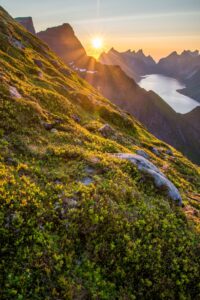 Soft sunrise over mountain peaks representing relief and a fresh start after trauma processing