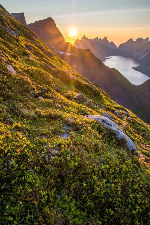 Soft sunrise over mountain peaks representing relief and a fresh start after trauma processing