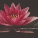 Close-up of an open lotus flower with many layered petals unfolding from the center.