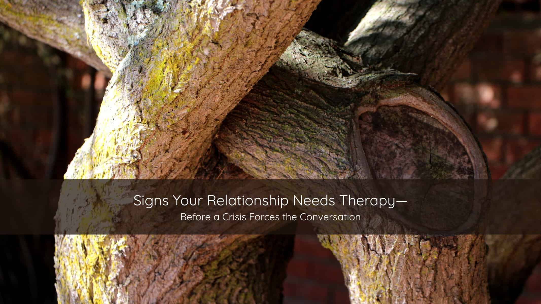 Signs Your Relationship Needs TherapyBefore a Crisis Forces the Conversation | Catalyst Center Two tree trunks intertwined and growing together from a shared base against soft daylight.